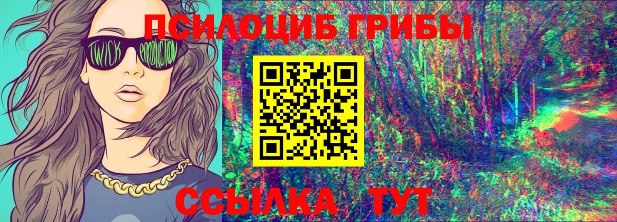 Псилоцибиновые грибы Magic Shrooms  Вход с VPN  даркнет сайт  Каменка 