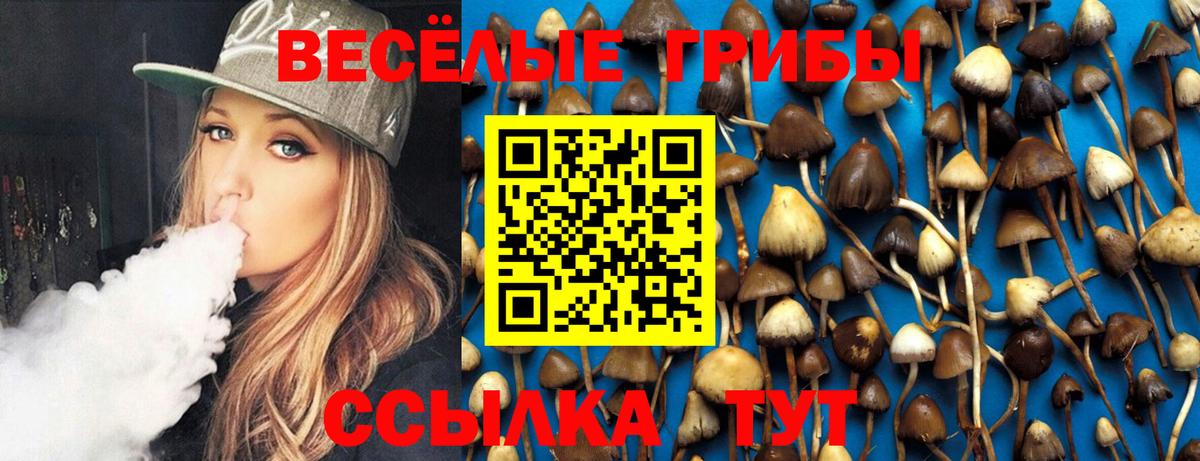 Галлюциногенные грибы MAGIC MUSHROOMS Каменка